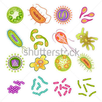 Medium_bacteria-virus-and-germs-microorganism-cells-icons-isolated-vector-illustration_214860232
