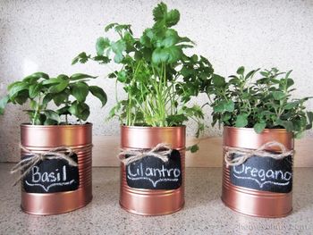 Medium_94394ab35d998ea6ea26df35aa2c2412--herb-pots-herb-planters
