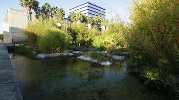 Medium_ras730278d9_base