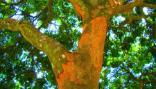 Calendar_home_capas_edukatu__4_