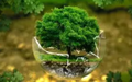 Calendar_thumb_capas_edukatu__18_