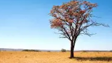 Calendar_home_capas_edukatu__41_