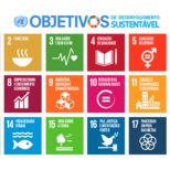 Top_objetivos_de_desenvolvimento_sustent_vel__1_