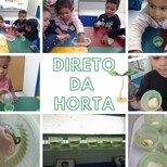 Top_direto_da_horta