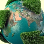 Top_sustentabilidade-ambiental-19-fb