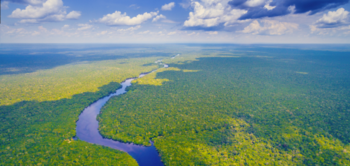 Medium_capa_edukatu_amazonia