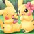 Thumb_sq_casal_pikachu