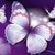 Thumb_sq_650970__butterflies-purple_p