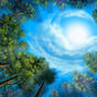 Thumb_88_1342224