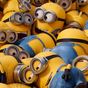 Thumb_88_imagens