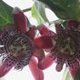 Thumb_88_img-20141025-wa0000