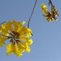 Thumb_88_307594_114243888677765_5072637_n